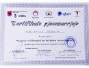 certifikata19